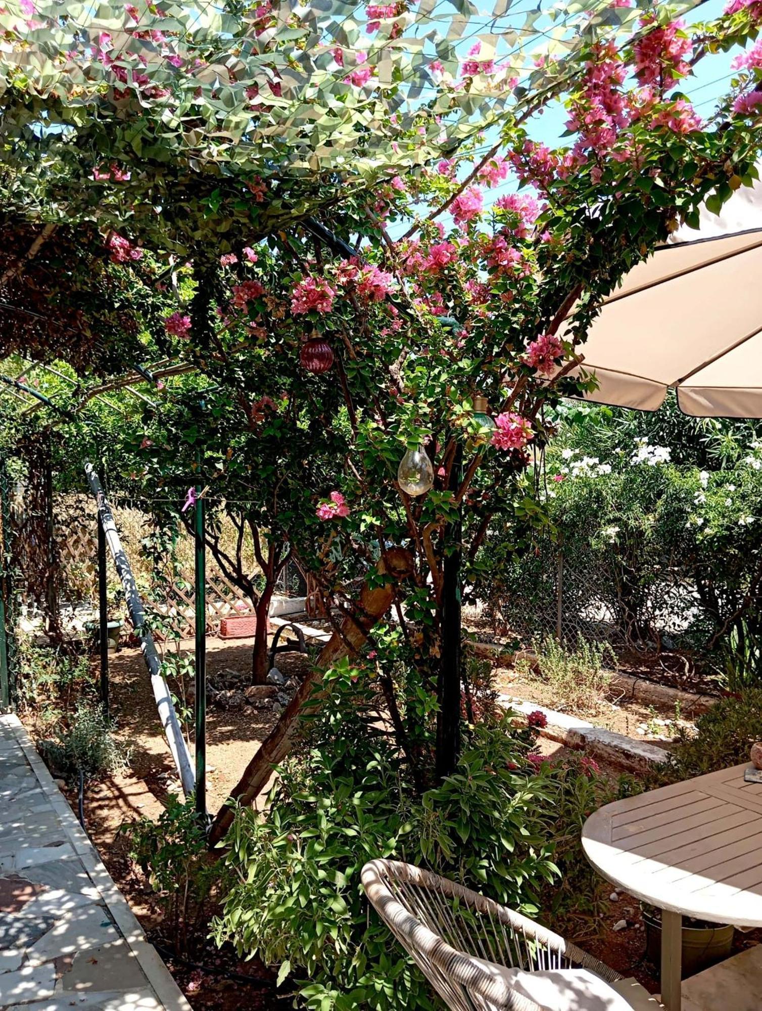 Εξοχικό Roxani Villa Ambelakia Exterior foto