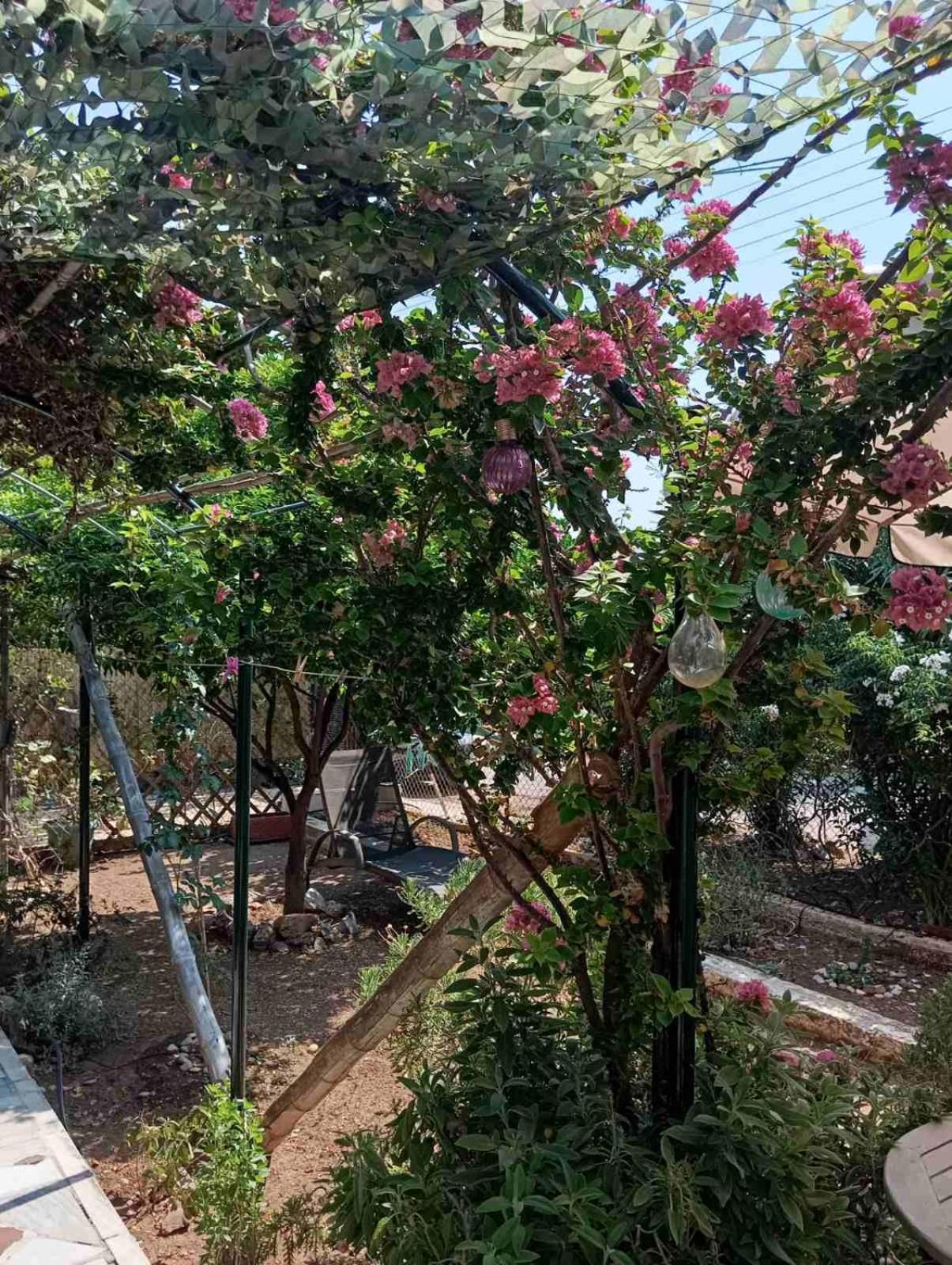 Εξοχικό Roxani Villa Ambelakia Exterior foto