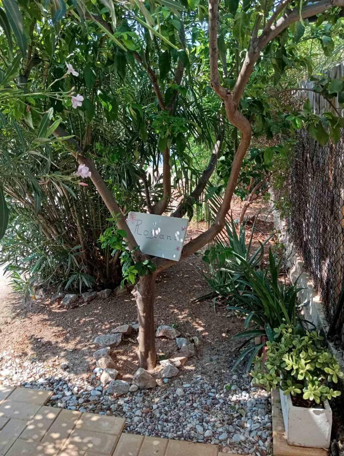 Εξοχικό Roxani Villa Ambelakia Exterior foto