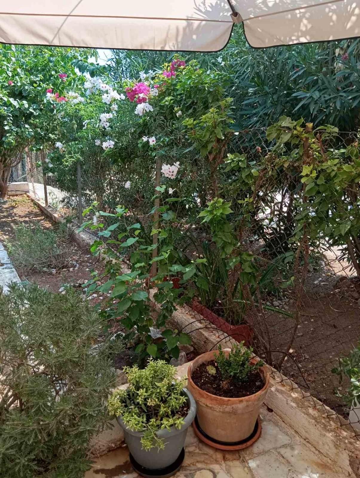 Εξοχικό Roxani Villa Ambelakia Exterior foto